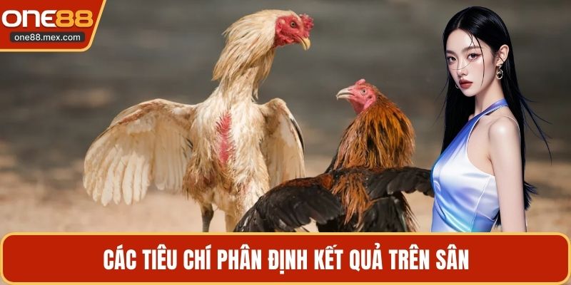Các tiêu chí phân định kết quả trên sân