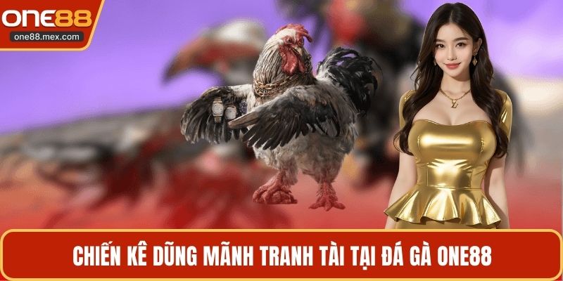 Chiến kê dũng mãnh tranh tài tại đá gà ONE88