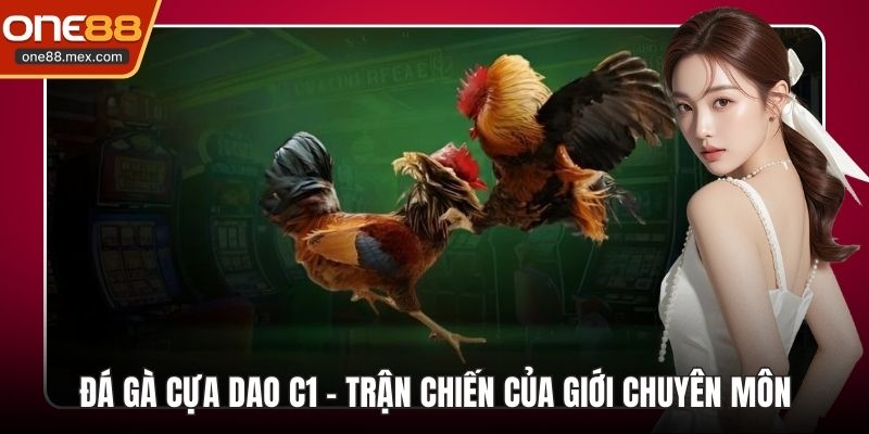 đá gà cựa dao c1