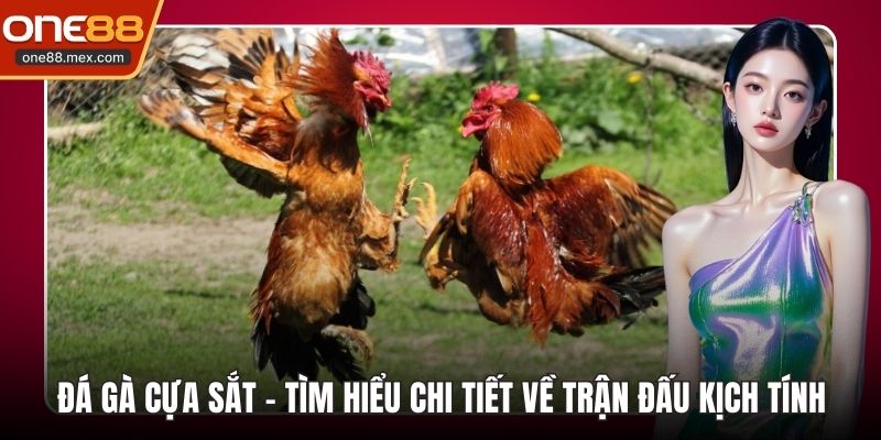 Đá Gà Cựa Sắt