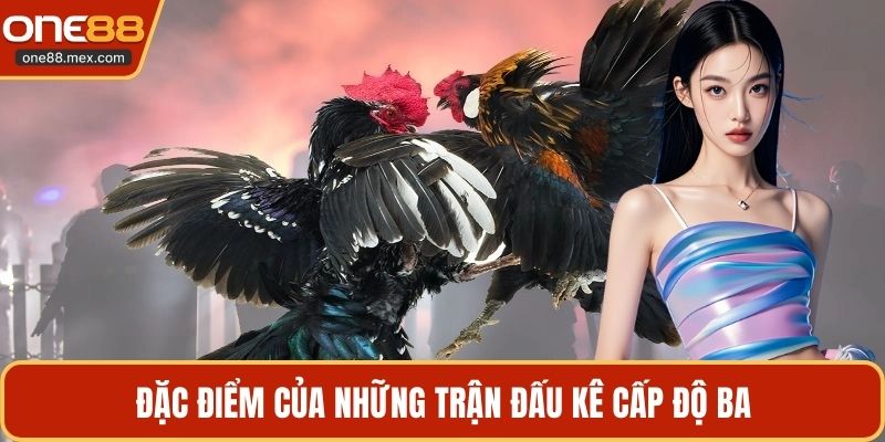 Đặc điểm của những trận đấu kê cấp độ ba
