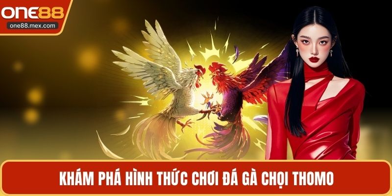 Khám phá hình thức chơi đá gà chọi Thomo