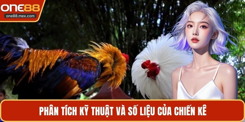 Phân tích kỹ thuật và số liệu của chiến kê