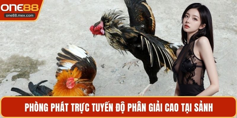 Phòng phát trực tuyến độ phân giải cao tại sảnh