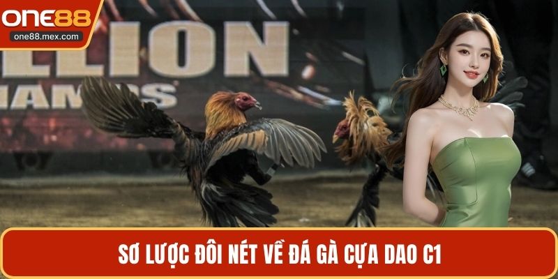 Sơ lược đôi nét về đá gà cựa dao c1