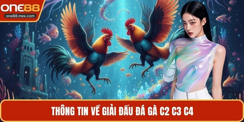 Thông tin về giải đấu đá gà c2 c3 c4