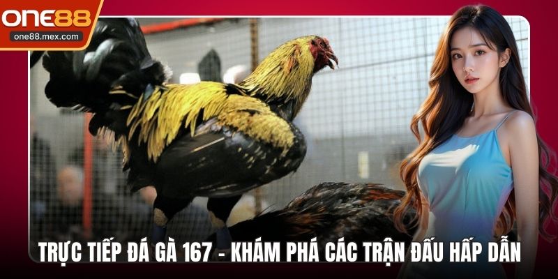trực tiếp đá gà 167
