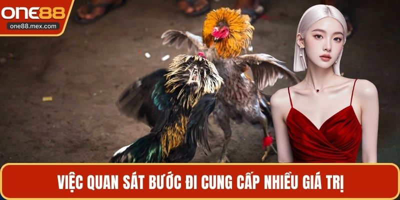 Việc quan sát bước đi cung cấp nhiều giá trị